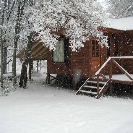 Cabanas Roble Quemado Las Trancas Exteriér fotografie