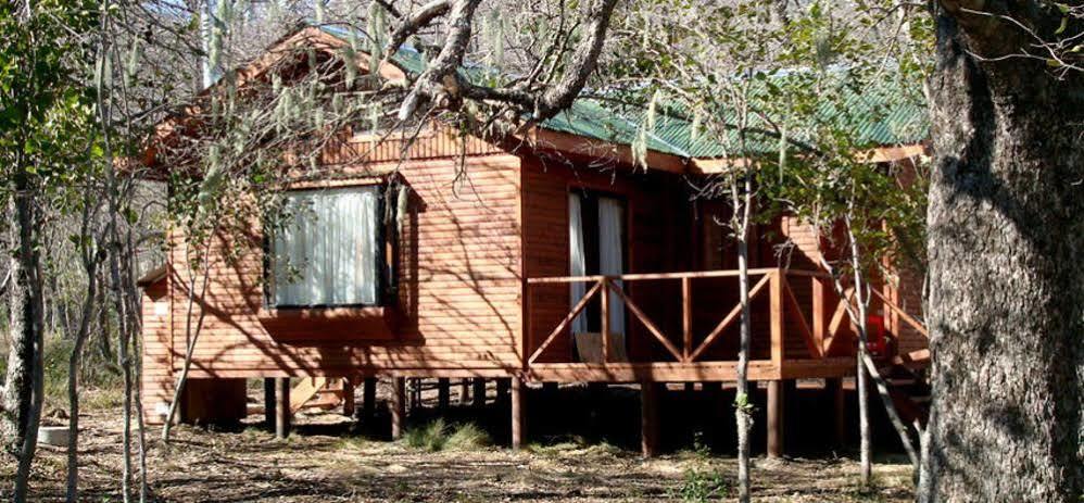 Cabanas Roble Quemado Las Trancas Exteriér fotografie