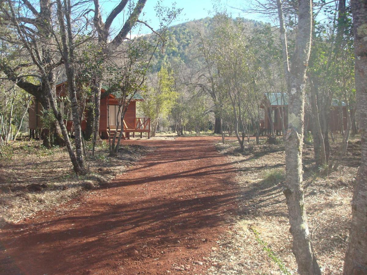 Cabanas Roble Quemado Las Trancas Pokoj fotografie