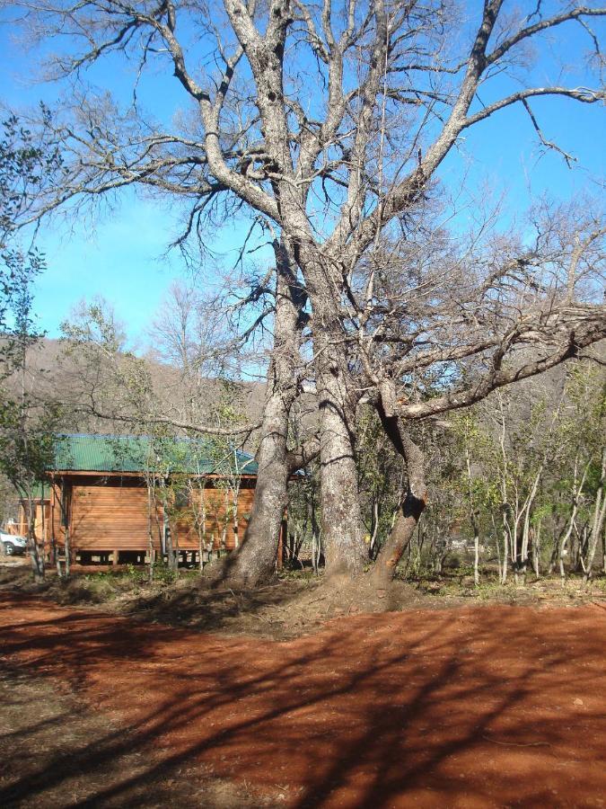 Cabanas Roble Quemado Las Trancas Pokoj fotografie